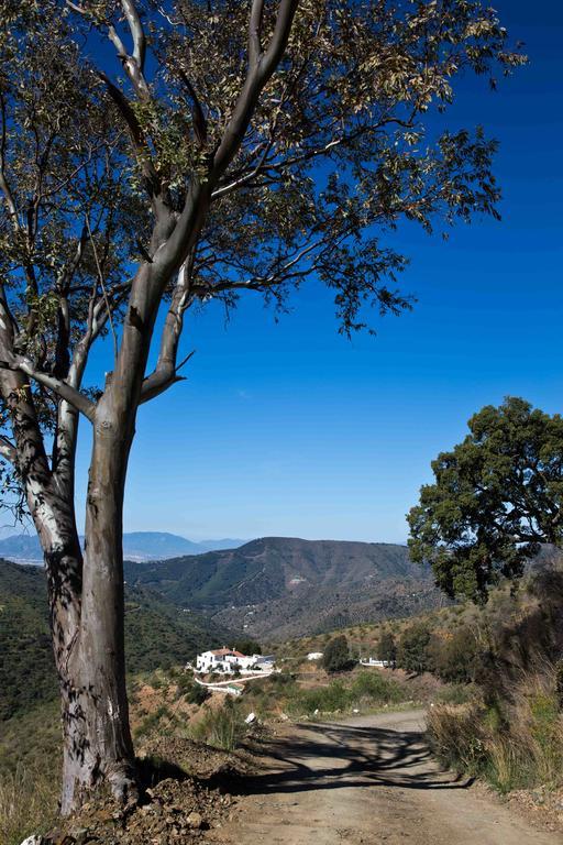 Cortijo Juan Salvador Guest House Olias Luaran gambar