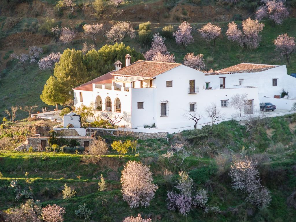 Cortijo Juan Salvador Guest House Olias Luaran gambar