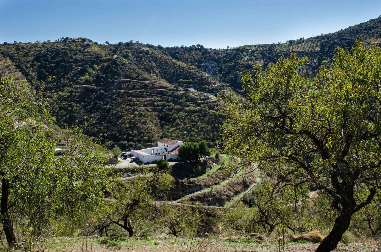 Cortijo Juan Salvador Guest House Olias Luaran gambar
