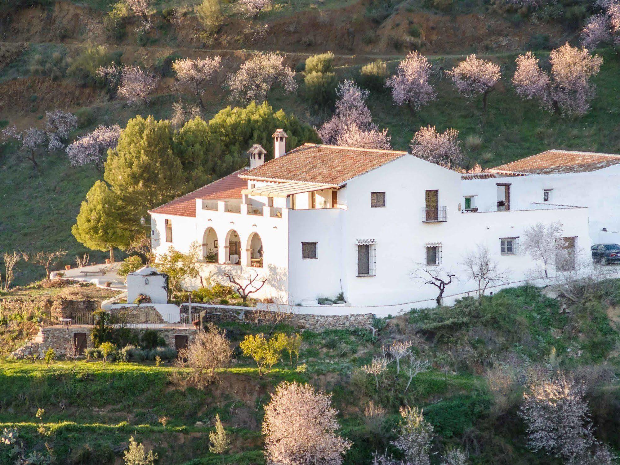 Cortijo Juan Salvador Guest House Olias Luaran gambar